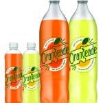 orangeade_1.5L-01 (003)