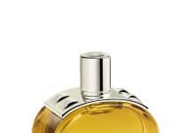 חדש על המדף- טיפוח