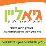 גיא-ליין-2
