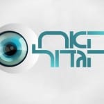לוגו האח הגדול