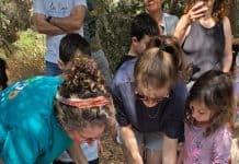 פסטיבל ירוק" מגיע לחיפה: 4–6 ביוני
