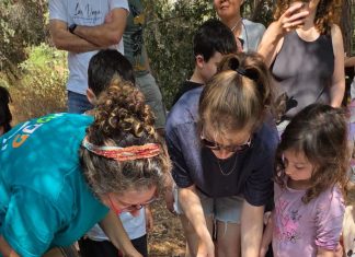 פסטיבל ירוק" מגיע לחיפה: 4–6 ביוני